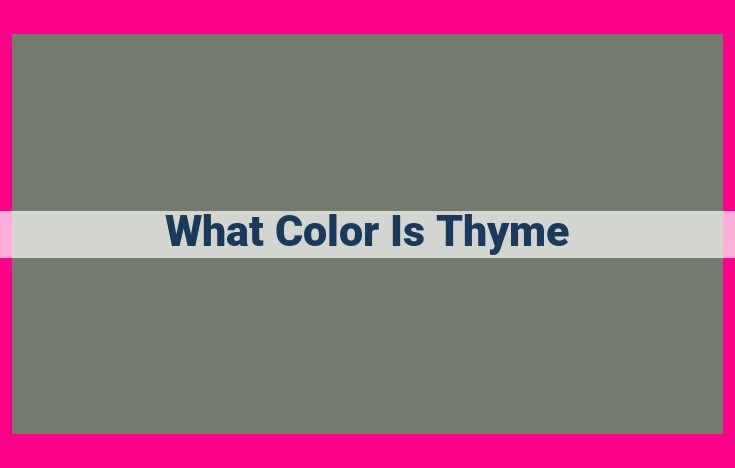 what color is thyme