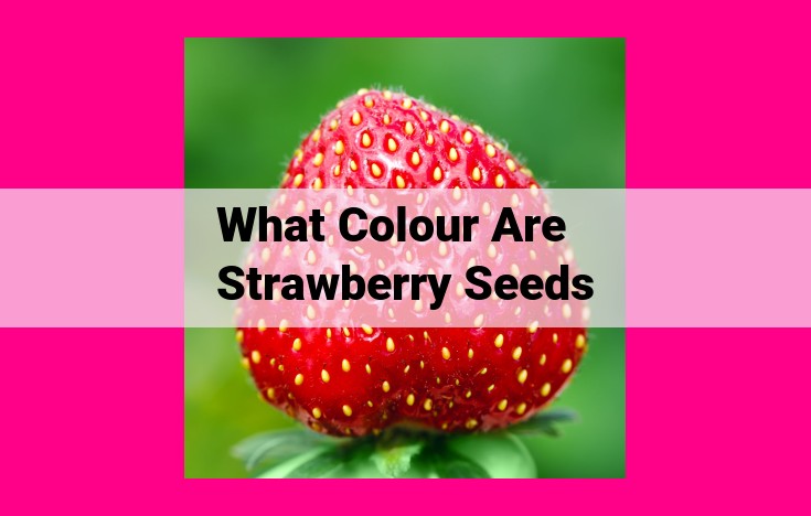 what colour are strawberry seeds