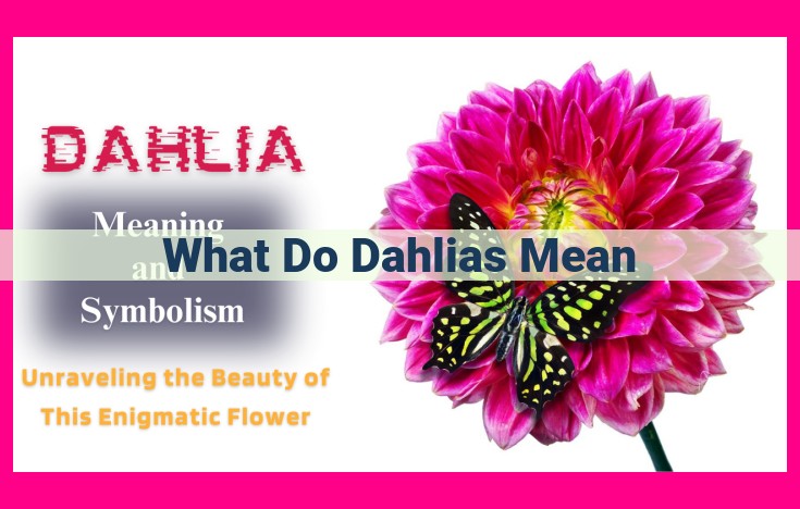 what do dahlias mean