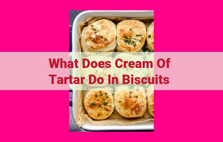 what does cream of tartar do in biscuits