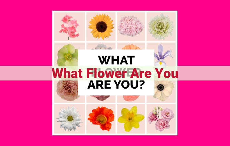 what flower are you