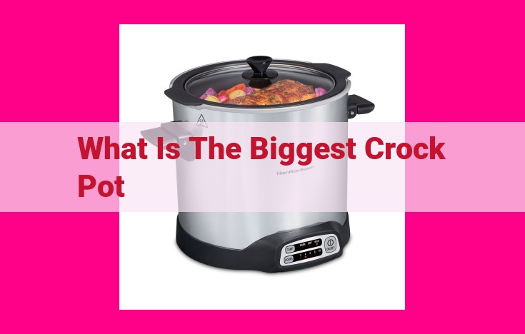 what is the biggest crock pot