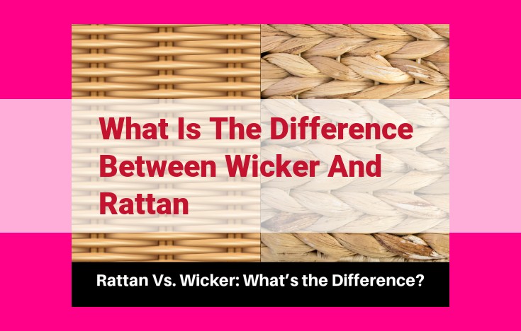 what is the difference between wicker and rattan