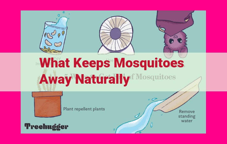 what keeps mosquitoes away naturally