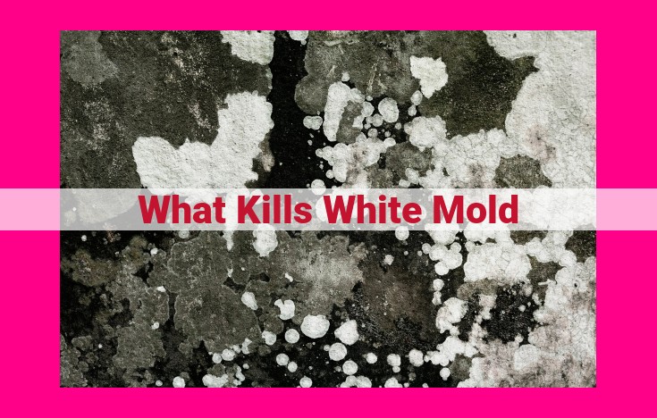 what kills white mold