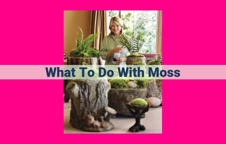 what to do with moss