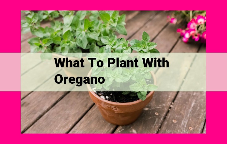 what to plant with oregano