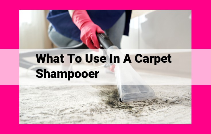 what to use in a carpet shampooer